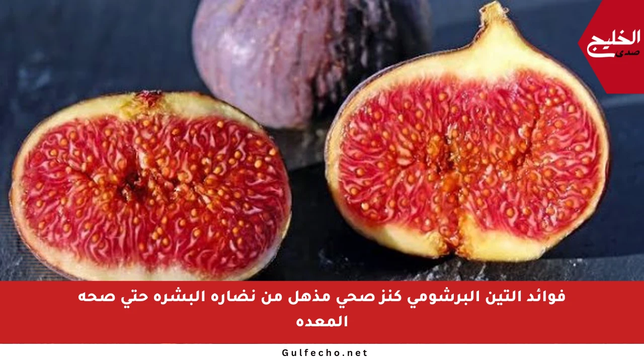 فوائد التين البرشومي كنز صحي مذهل من نضارة البشرة حتى صحة المعدة